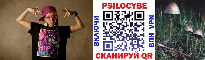 как найти закладки  Абаза  Галлюциногенные грибы GOLDEN TEACHER 